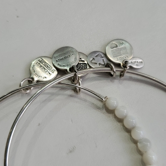 Alex and Ani Aunt Silvertone 2-bracelet Gift Set - Picture 4 of 8